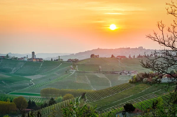 Le Langhe Italien (Piemonte), landskap i solnedgång — Stockfoto