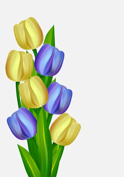 Bouquet of yellow and blue tulips — Stock Vector
