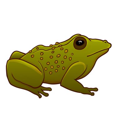 Sitting toad illustration clipart