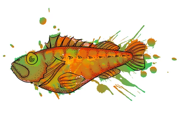 Grunge ocean perch illustration — Stock Vector