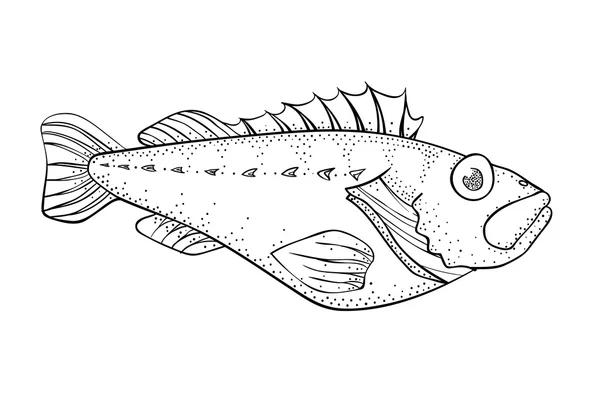 Coloring book: ocean perch — Stock Vector