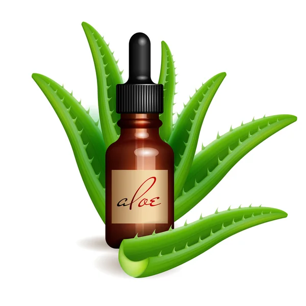 Realistico Aloe Vera e bottiglia di olio essenziale. Flaconcino cosmetico, flacone — Vettoriale Stock
