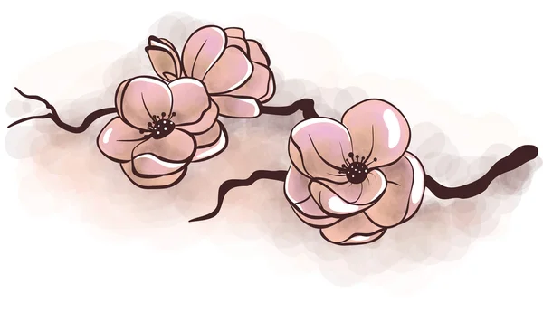 Jasmijn bloemen op een tak — Stockvector