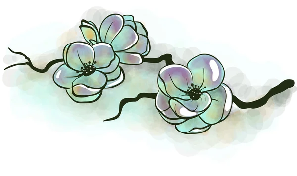 Jasmine flowers on a branch — Stock Vector