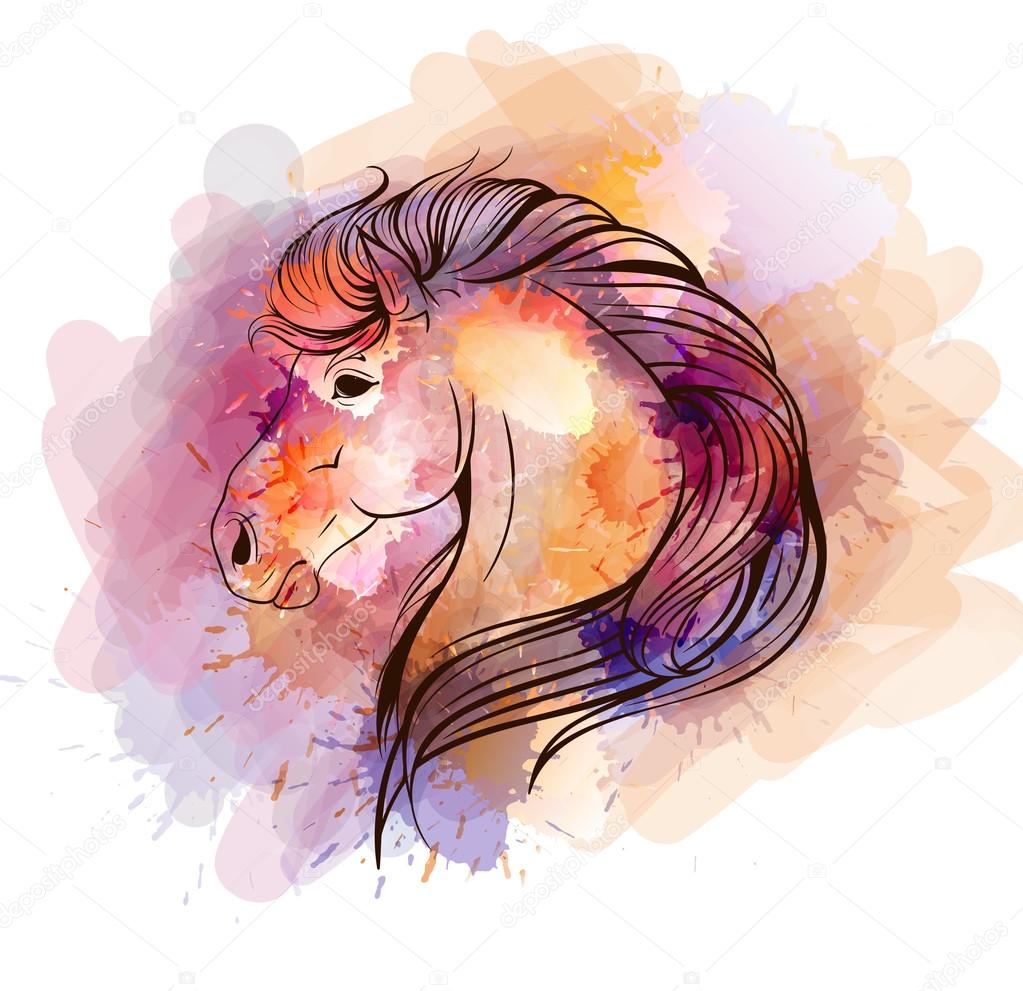 Watercolor horse head — Stock Vector © BlackSpring1 56501179