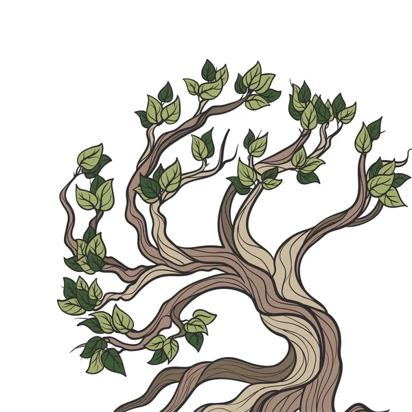 Bonsai tree geïsoleerd — Stockvector