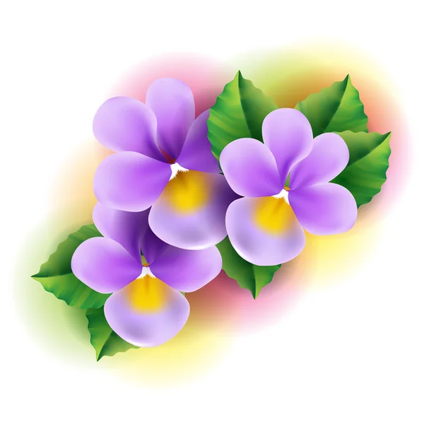 Violet flowers — Stock Vector