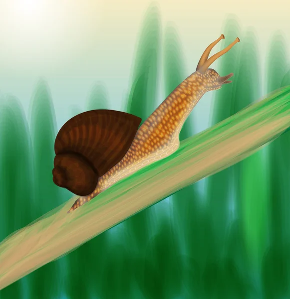 Escargot rampant sur une tige — Image vectorielle