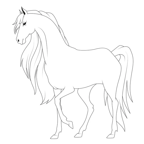 Coloring book: horse — Stock Vector