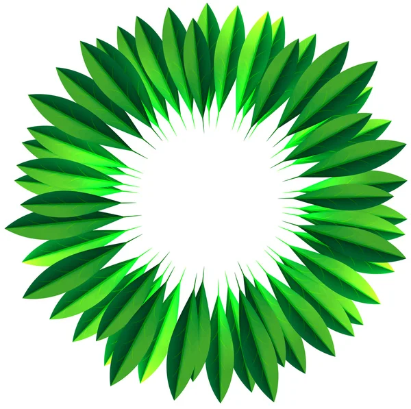 Círculo quadro feito de folhas verdes frescas — Vetor de Stock