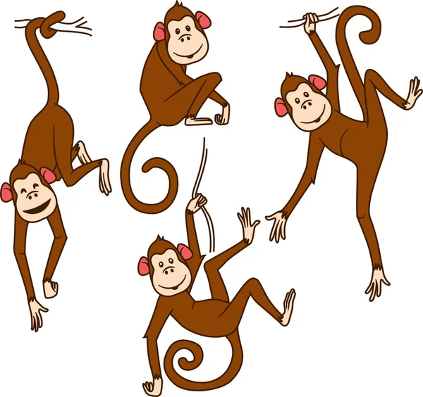 Set of monkeys in different poses — Stock Vector