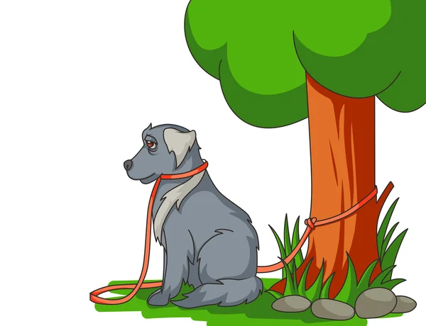 Sad abandoned dog with lead tied to the tree — Stock Vector