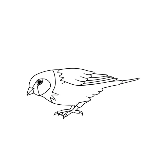 Coloring book: Sparrow — Stock Vector