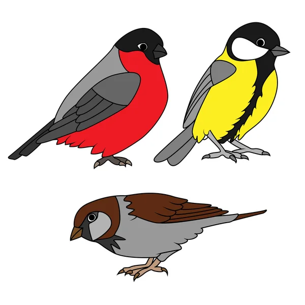 Small urban birds set — Stock Vector