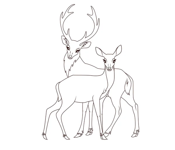 Coloring book: Couple of deers isolated — Stock Vector