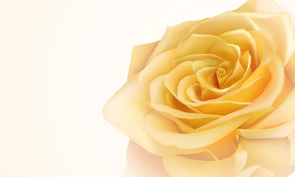 Rose jaune réaliste — Image vectorielle