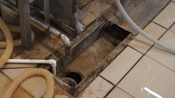 La malta y el agua se descargan por el desagüe durante el proceso de limpieza de la cervecera de malta. — Vídeos de Stock