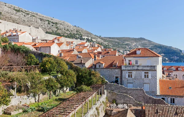 Cidade Velha de Dubrovnik, Croácia. Sítio UNESCO — Fotografia de Stock