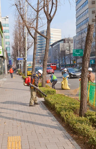 Recolha de folhas caídas em Seul, Coreia do Sul — Fotografia de Stock