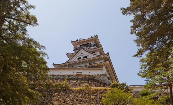 Donjon (tenshukaku) van het kasteel van Kochi, stad in Kochi, Japan — Stockfoto