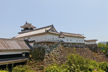 Ana Bailey (honmaru) Kalesi Kochi, Kochi şehir binaları, 