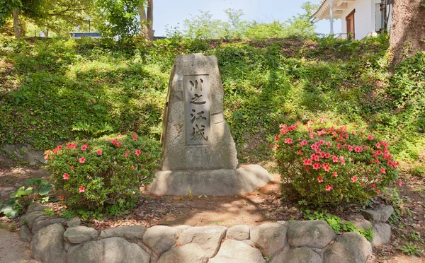 Herdenkingsmunten steen van castle, Kawanoe, Shikokuchuo, Japan — Stockfoto