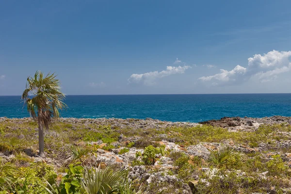 Küste der Grand Cayman Island, Cayman Islands — Stockfoto