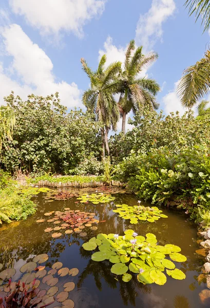 Pond in QE II Botanic Park on Grand Cayman Island — Stockfoto