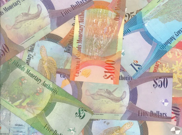 Kyd Stok Foto, Kyd Gambar Bebas Royalti | Depositphotos®