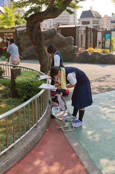 Japanese school girls paint Wattled Crane — Stock Photo, Image