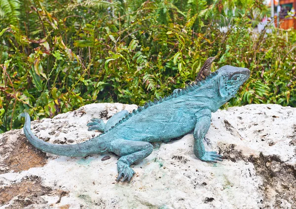 Lizard on iguana sculpture in George Town on Grand Cayman Island — Stock Photo, Image