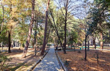 Büyük şehir Park Tivat, Karadağ