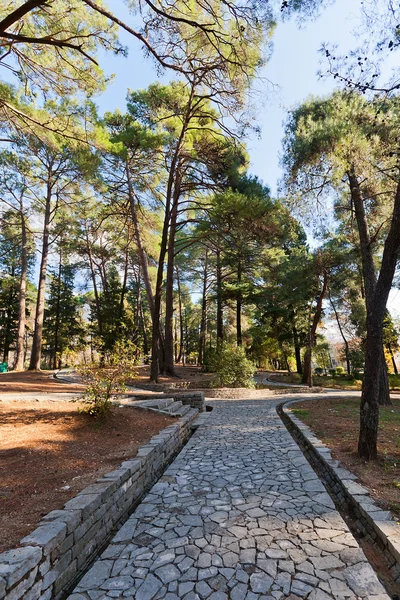 Parc de la grande ville de Tivat, Monténégro — Photo