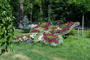 Yazın çiçek açan bahçe. Güzel bahçe..
