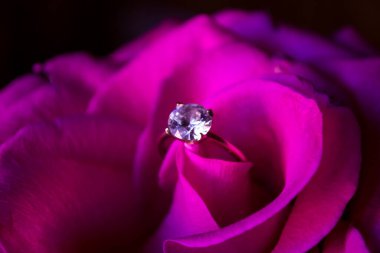 Pembe gülün üzerinde elmas yüzük, yakın plan..