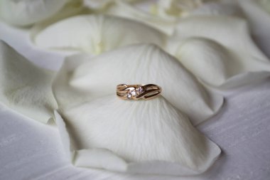 Beyaz gül yapraklarında alyans.