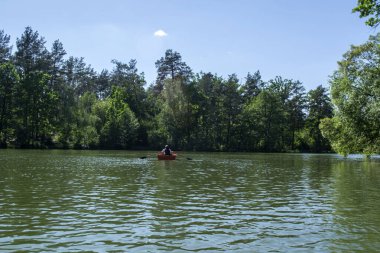 Ormandaki göl. Yaz manzarası.