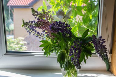 Penceresinde lüpinler olan vazo..