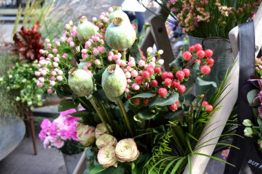 Beautiful flowers background outdoor.