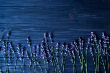 Koyu mavi ahşap arka planda taze lavanta çiçekleri.
