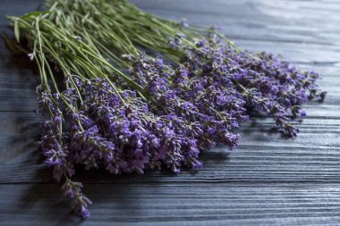 Koyu mavi ahşap arka planda taze lavanta çiçekleri.