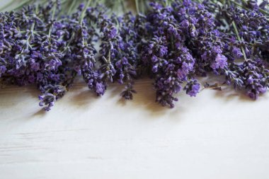 Beyaz ahşap arka planda taze lavanta çiçekleri.