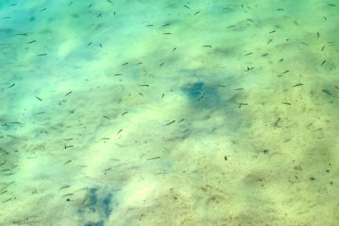 Mavi su dokusu. Mavi göl. Temiz su.