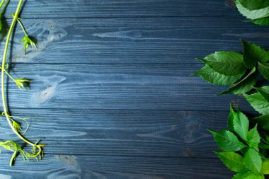 Koyu mavi ahşap arka planda yeşil yaprakların çerçevesi..