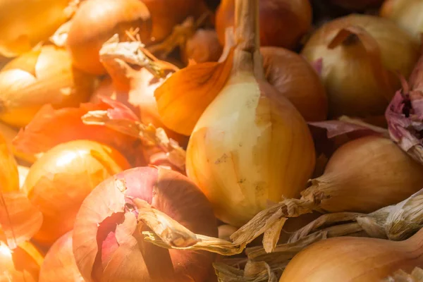 Eine Menge Zwiebeln Zwiebelhintergrund — Stockfoto