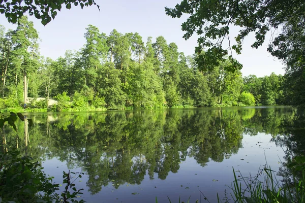 Klidné Místo Parku Jezero Lesní Krajině — Stock fotografie