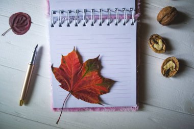 Düşen yapraklarla dekore edilmiş açık bir defter ve kalem. Kopya alanı ile atmosferik sonbahar arkaplanı.