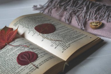 Kitabın yanında bir fincan çay ve düşmüş yapraklarla süslenmiş Wollen battaniyesi. Sıcak sonbahar.