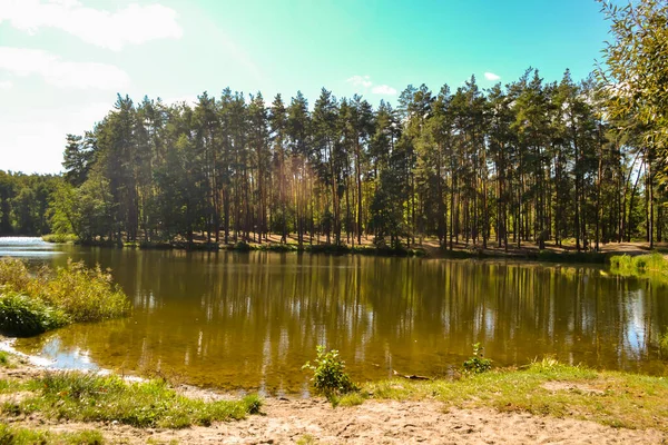 Paisaje Forestal Otoño Lugar Tranquilo Bosque —  Fotos de Stock