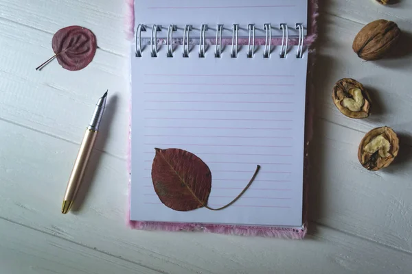 用落叶装饰的桌面上打开的笔记本和钢笔 带有复制空间的大气秋季背景 — 图库照片